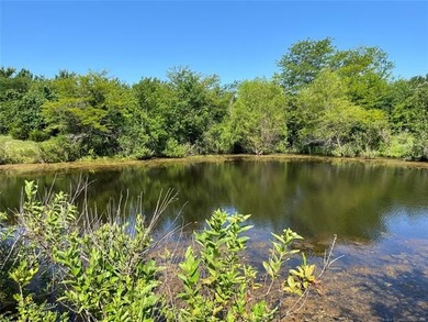 160 acres of great deer hunting and cattle running pasture - photo 9
