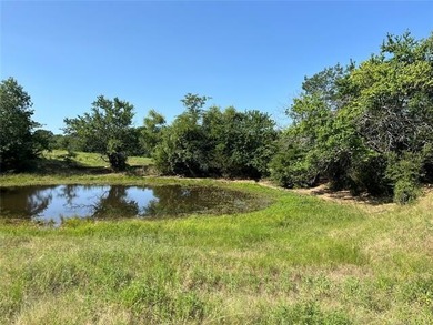 160 acres of great deer hunting and cattle running pasture - photo 10