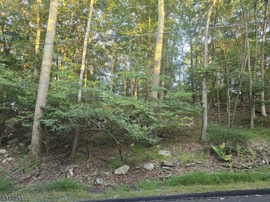 Lake Hopatcong Lot For Sale in Hopatcong New Jersey