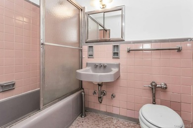 Affordable Spacious One Bedroom Apartment with Manhattan views - photo 15