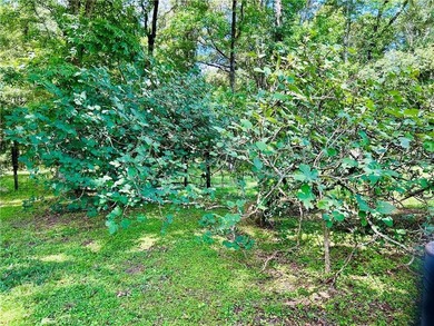 This beautiful 5.8 acres with all kinds of trees does not front - photo 16