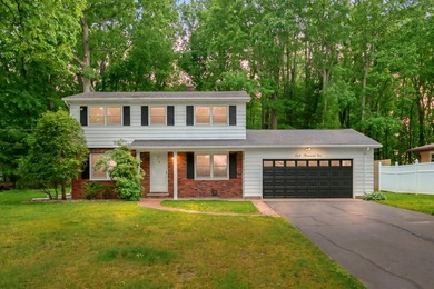 Situated on a double wooded lot directly across from Long Lake - photo 1