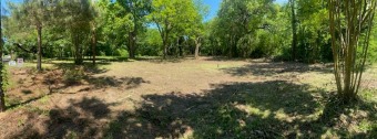 Cedar Creek Lake Lot For Sale in Malakoff Texas