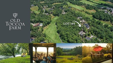 Toccoa River Lot For Sale in Mineral Bluff Georgia