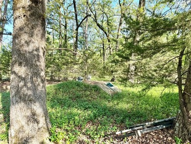 Opportunity awaits on 5.25 beautiful acres in Knoxville! This 1 - photo 43
