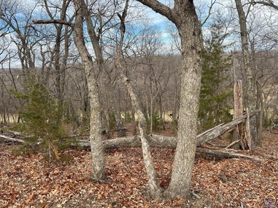 This is a must see, pictures do not capture the beauty of this - photo 46