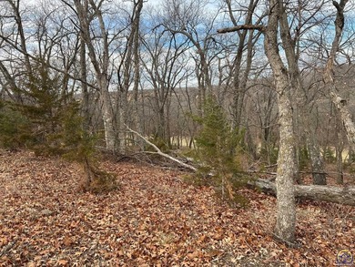 This is a must see, pictures do not capture the beauty of this - photo 47