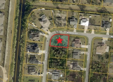 **CITY WATER** Beautiful Corner lot in North Port. This lot may - photo 1