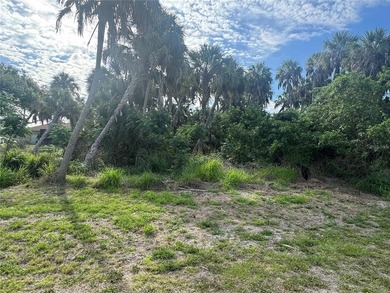 **CITY WATER** Beautiful Corner lot in North Port. This lot may - photo 4