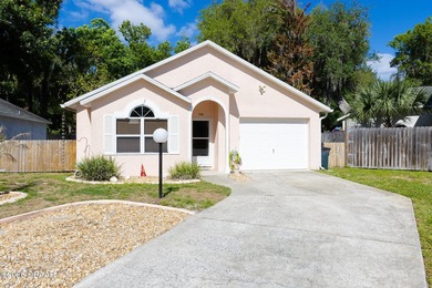 Hard-to-find Port Orange home in a no flood zone with no history - photo 1