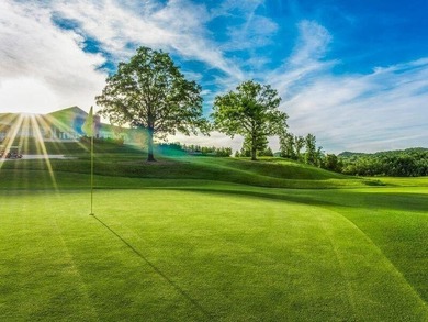 Build the Ozarks lifestyle you've always envisioned on - photo 6