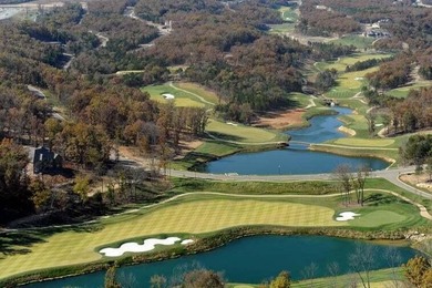 Build the Ozarks lifestyle you've always envisioned on - photo 7