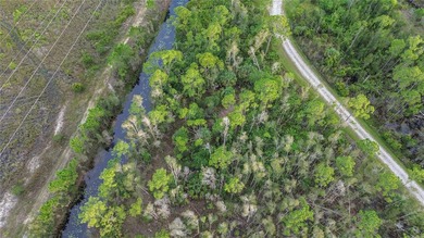 Great oversized lot on a quiet road. Imagine your dream home - photo 12