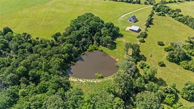 (private lake, pond, creek) Home For Sale in Tennessee Colony Texas