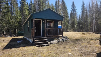 Lake Home For Sale in Portage Lake, Maine