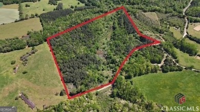 Lake Acreage Sale Pending in Elberton, Georgia