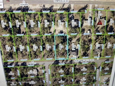 EXCELLENT AREA OF NICE HOMES RIGHT OFF CENTRALIA RD AND PAVED - photo 1