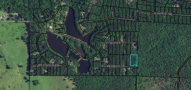 OWNER FINANCING WITH 25% DOWN. 1.57 Acre buildable lot in Oak - photo 3