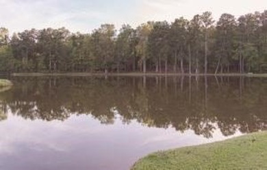 OWNER FINANCING WITH 25% DOWN. 1.57 Acre buildable lot in Oak - photo 4
