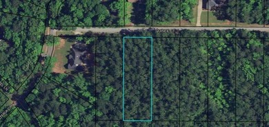 OWNER FINANCING WITH 25% DOWN. 0.65 Acre buildable lot in Oak - photo 1