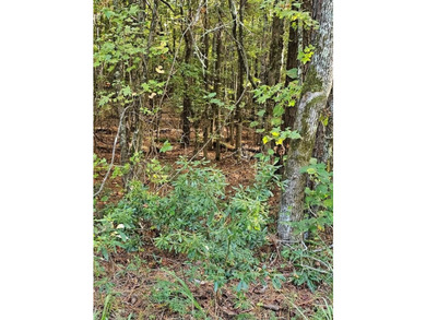 OWNER FINANCING WITH 25% DOWN. 0.65 Acre buildable lot in Oak - photo 3
