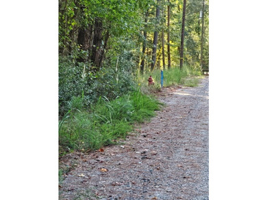 OWNER FINANCING WITH 25% DOWN. 0.65 Acre buildable lot in Oak - photo 4