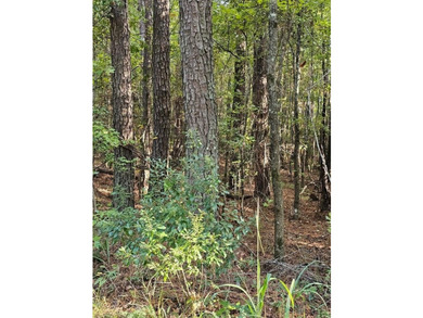 OWNER FINANCING WITH 25% DOWN. 0.65 Acre buildable lot in Oak - photo 7