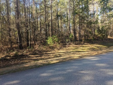 Lake Greenwood Lot For Sale in Ninety Six South Carolina