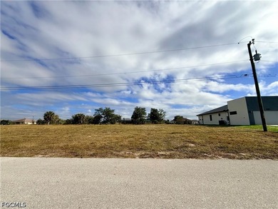 CAPE CORAL CANAL LOT Beautiful lot offers a unique opportunity - photo 1