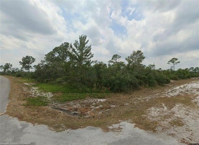 Build Your Dream Home in Sun 'n Lake! Don't miss this - photo 2