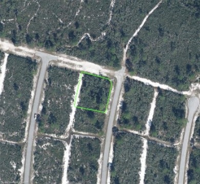 Build Your Dream Home in Sun 'n Lake! Don't miss this - photo 4