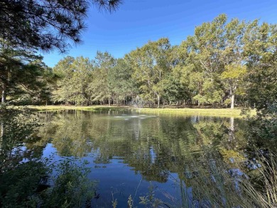 This 20 acre property is one of the last multi-acre tracts in