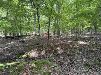 Lake Lot For Sale in Hot Springs Village, Arkansas