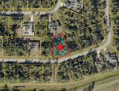 Beautiful lot in North Port. This lot may qualify for up to 90% - photo 1