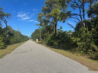 Beautiful lot in North Port. This lot may qualify for up to 90% - photo 2