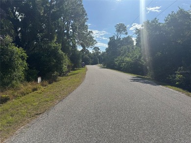 Beautiful lot in North Port. This lot may qualify for up to 90% - photo 3