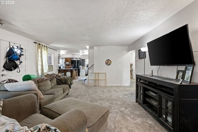 This home sits on a .36 acre corner lot in Lowell. Home has two - photo 8