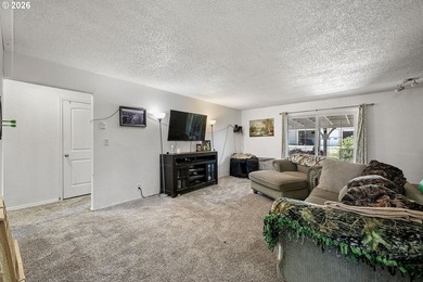 This home sits on a .36 acre corner lot in Lowell. Home has two - photo 10