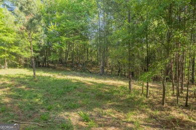 Lake Acreage For Sale in Toccoa, Georgia