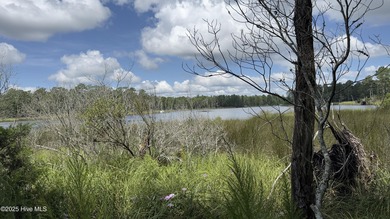 Pamlico River Acreage Active Under Contract in Belhaven North Carolina