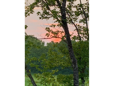 Situated on the banks of the beautiful, clear Caddo River, this - photo 44