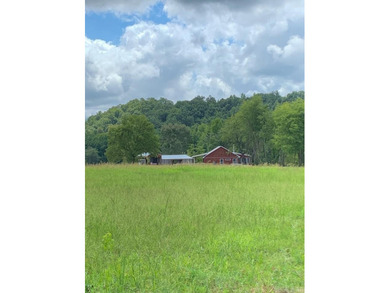 Situated on the banks of the beautiful, clear Caddo River, this - photo 46
