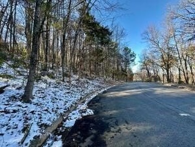 Lake Dardanelle Lot For Sale in Russellville Arkansas