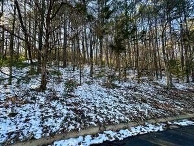 Come build your dream home in this beautiful neighborhood in - photo 3
