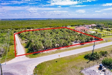 Port Charlotte Waterway Area Commercial For Sale in Port Charlotte Florida
