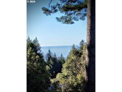 Gorgeous lot in the serene Carpenterville hills, build ready - photo 1