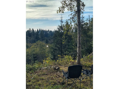 Gorgeous lot in the serene Carpenterville hills, build ready - photo 2