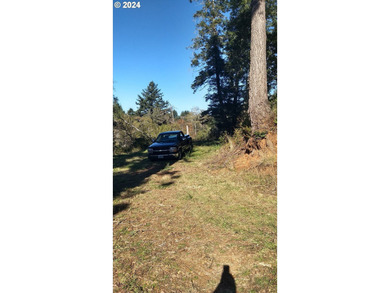 Gorgeous lot in the serene Carpenterville hills, build ready - photo 5