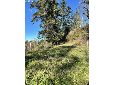 Gorgeous lot in the serene Carpenterville hills, build ready - photo 6