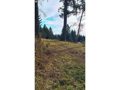 Gorgeous lot in the serene Carpenterville hills, build ready - photo 7